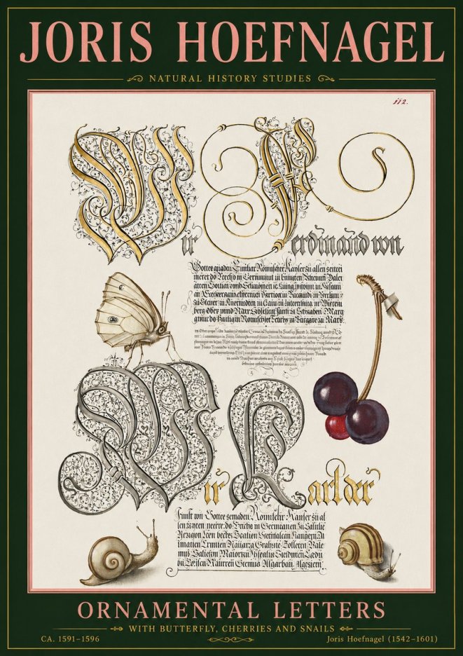 Joris Hoefnagel Ornamental Letters with Butterfly, Cherries and Snails No5 - Poster