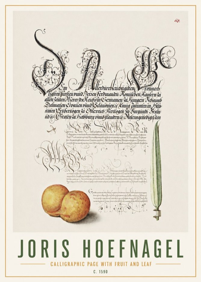 Joris Hoefnagel Calligraphic Page with Fruit and Leaf No4 - Poster