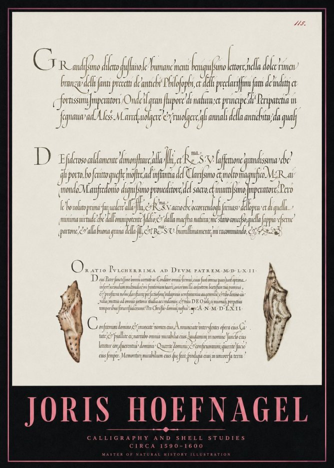 Joris Hoefnagel Study of Shells and Calligraphy No5 - Poster