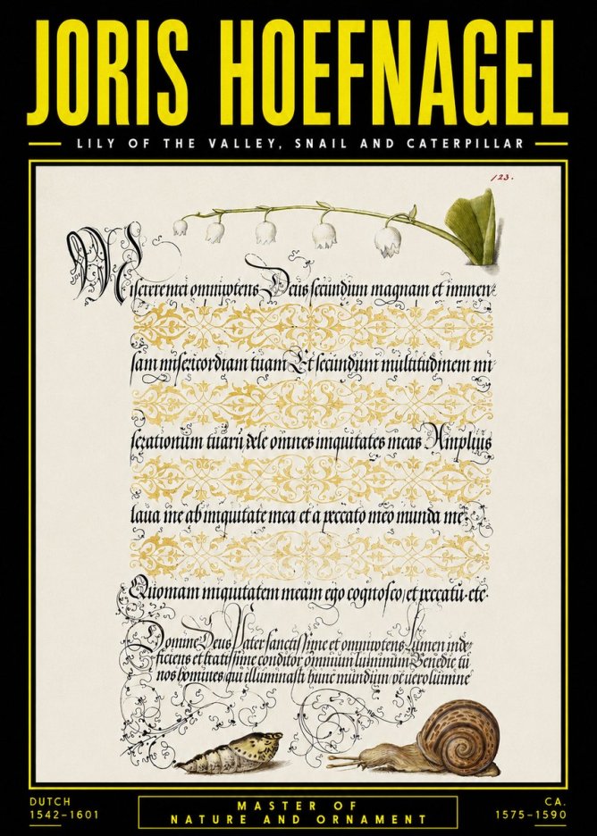 Joris Hoefnagel Lily of the Valley, Snail and Caterpillar No5 - Poster