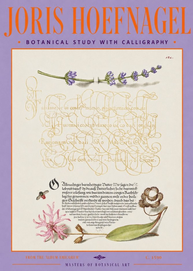 Joris Hoefnagel Botanical Study with Calligraphy IV No3 - Poster