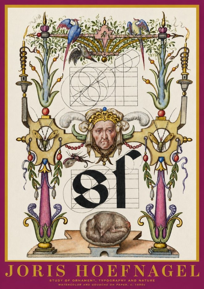 Joris Hoefnagel Mastery in Detail - Renaissance Ornament & Nature Studies No6 - Poster