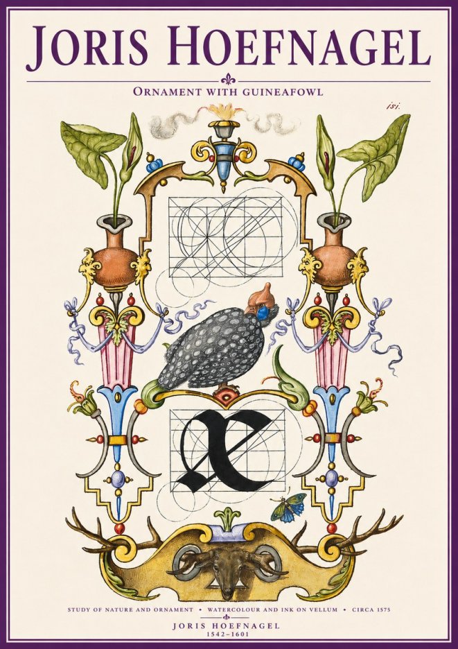 Joris Hoefnagel Ornament with Guineafowl No3 - Poster