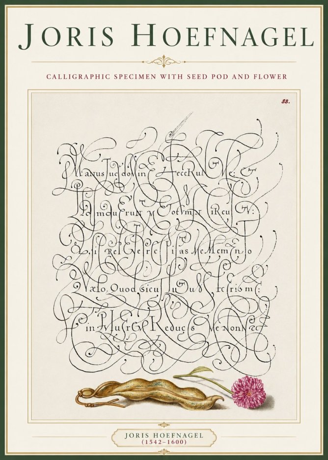 Joris Hoefnagel Calligraphic Specimen with Seed Pod and Flower No3 - Poster