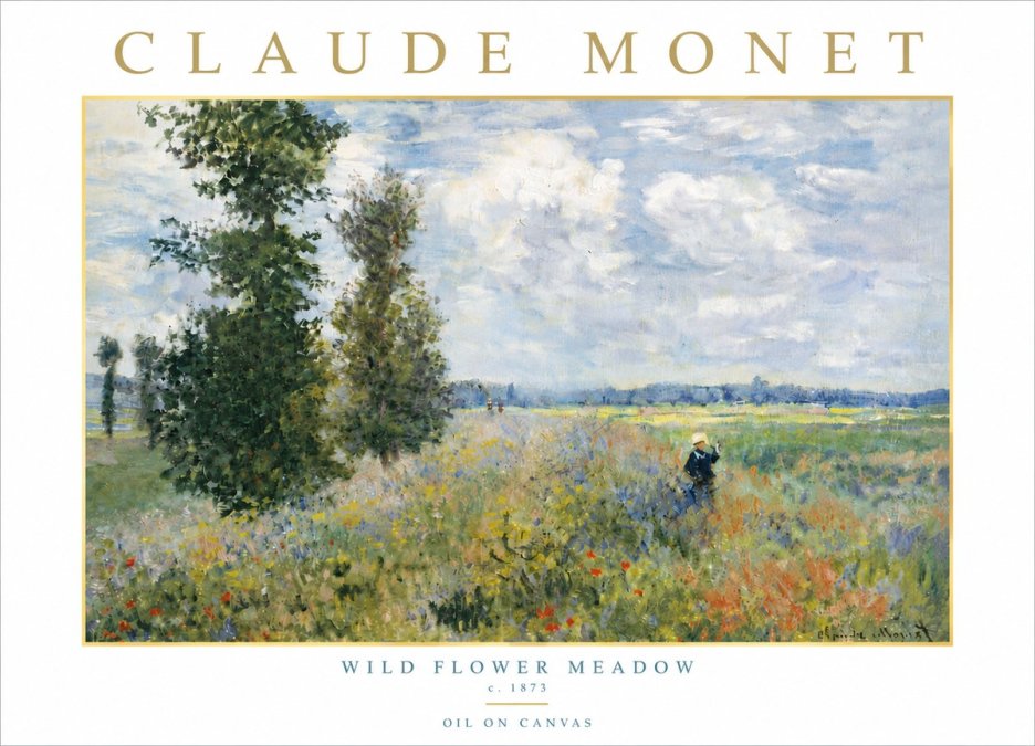 Monet Wild Flower Meadow No6 - Poster