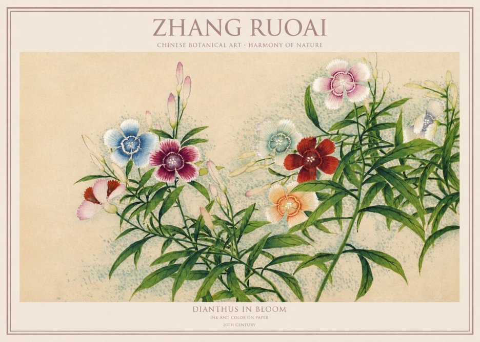 Zhang Ruoai Dianthus in Bloom No1 - Poster