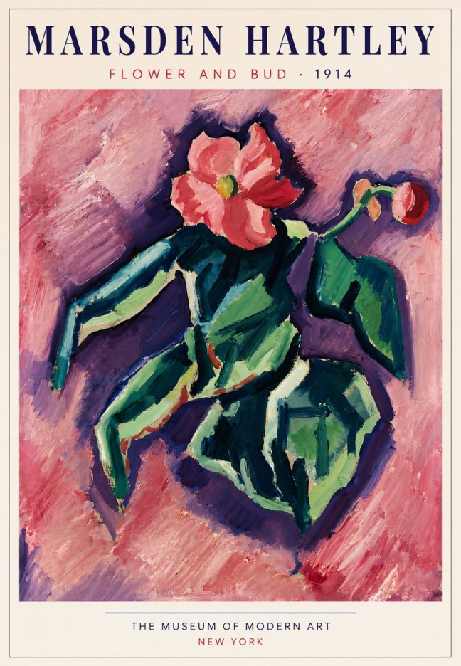 Marsden Hartley Flower and Bud No5 - Poster