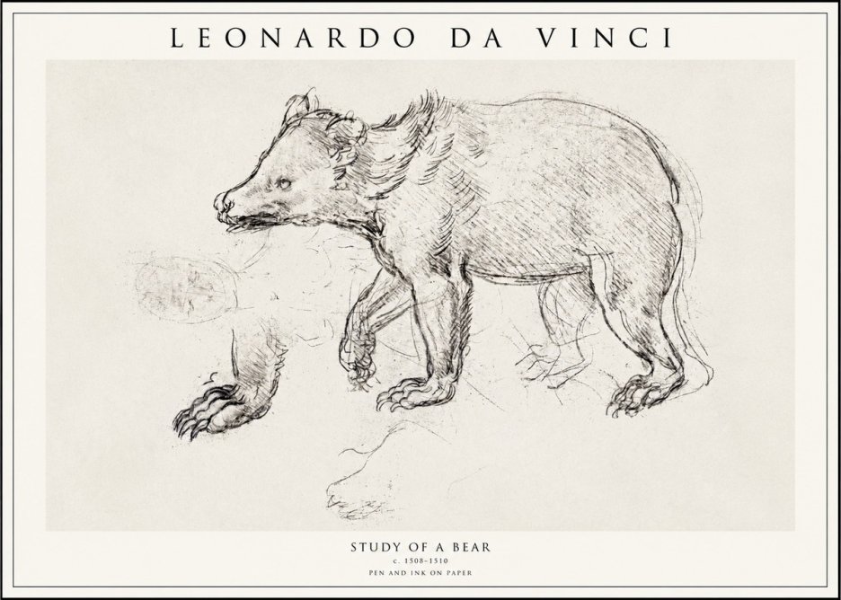Leonardo da Vinci Study of a Bear No1 - Poster