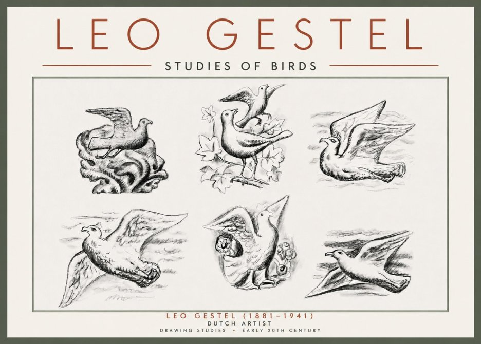 Leo Gestel Studies of Birds No5 - Poster