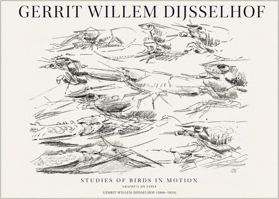 Gerrit Willem Dijsselhof Studies of Birds in Motion No1 - Poster