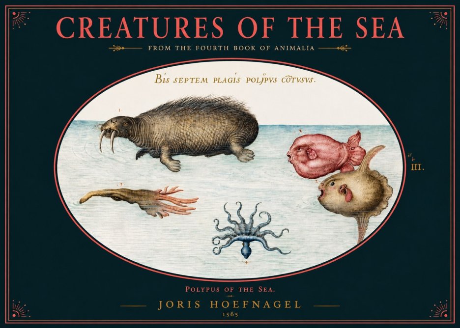 Joris Hoefnagel Polyps of the Sea No2 - Poster