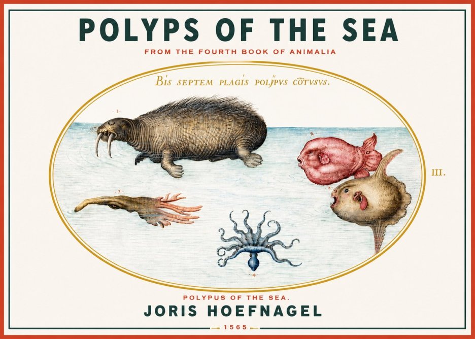 Joris Hoefnagel Polyps of the Sea No3 - Poster