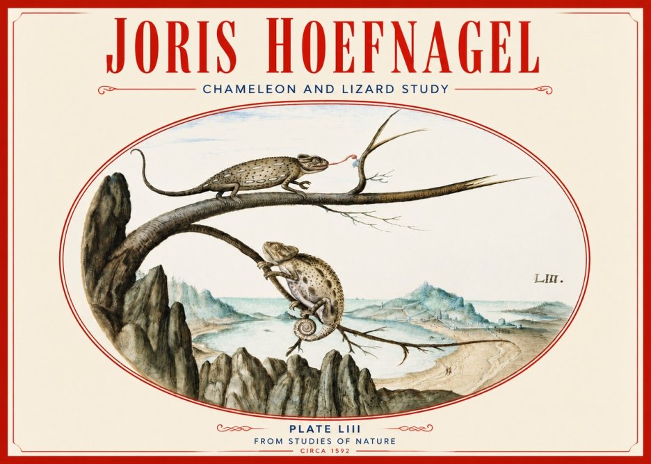 Joris Hoefnagel Chameleon and Lizard No4 - Poster