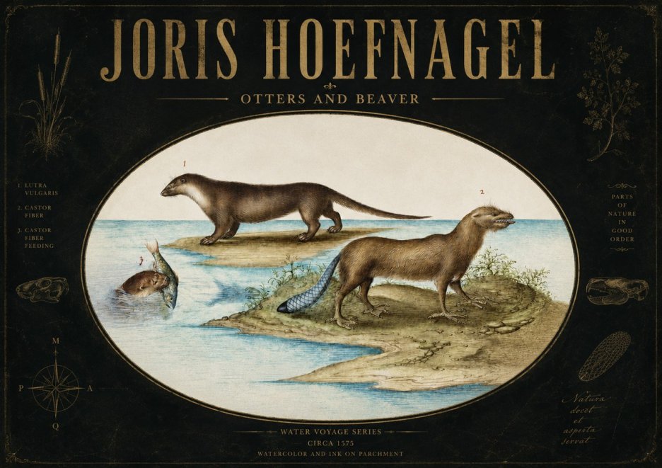 Joris Hoefnagel The Four-footed Creatures No4 - Poster