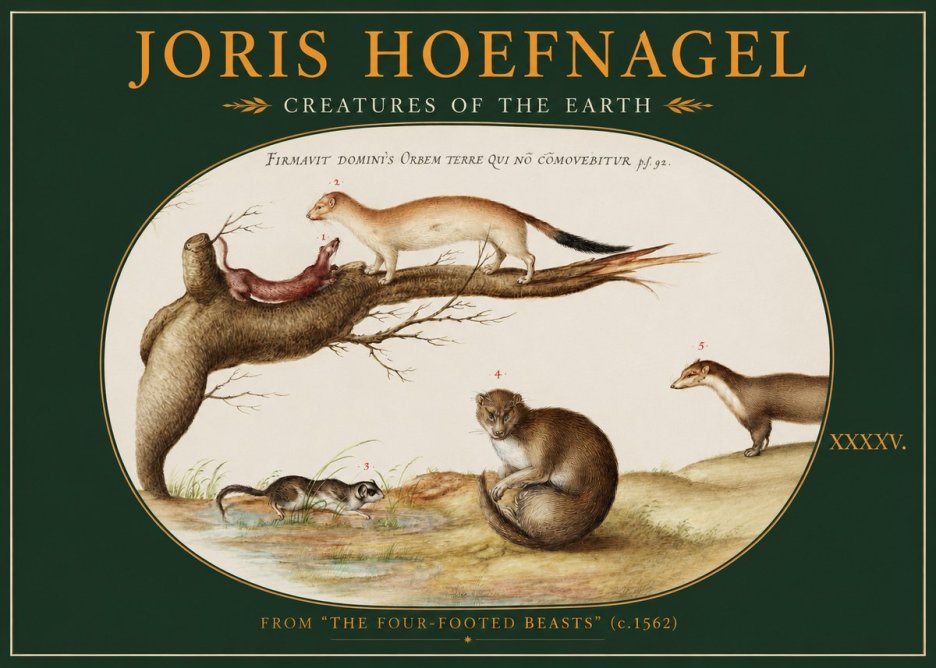 Joris Hoefnagel Creatures of the Earth I No2 - Poster