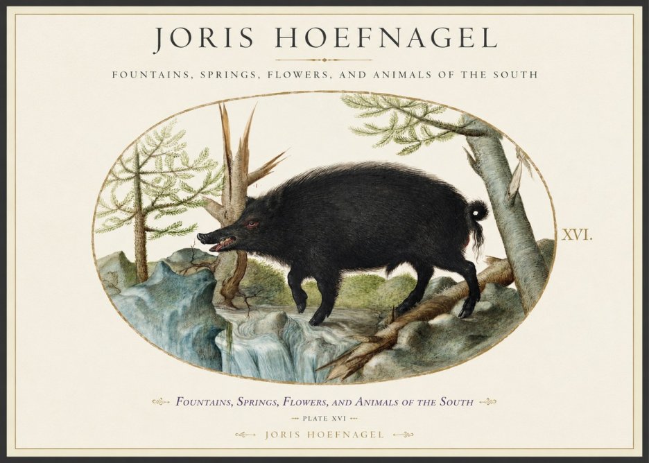 Joris Hoefnagel Fountains, Springs, Flowers, and Animals of the South - Plate Xvi No1 - Poster