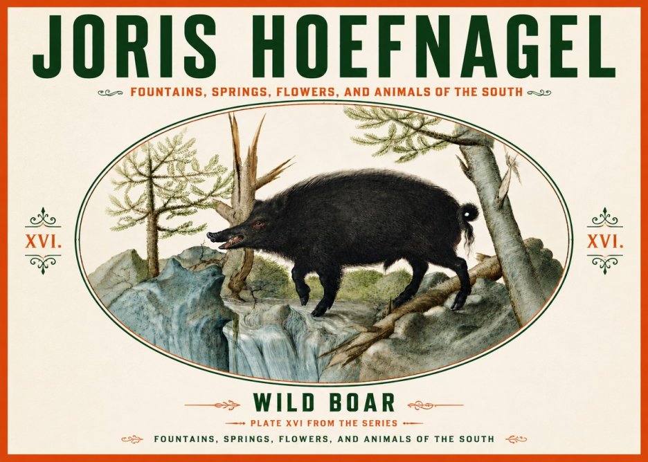 Joris Hoefnagel Fountains, Springs, Flowers, and Animals of the South - Plate Xvi No6 - Poster