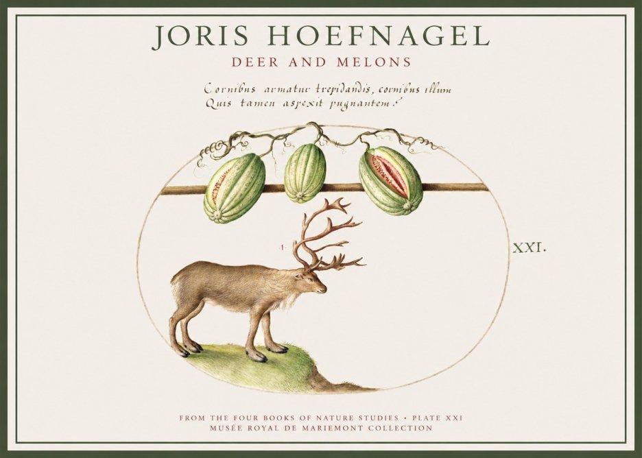 Joris Hoefnagel Arctic Nature Study No4 - Poster
