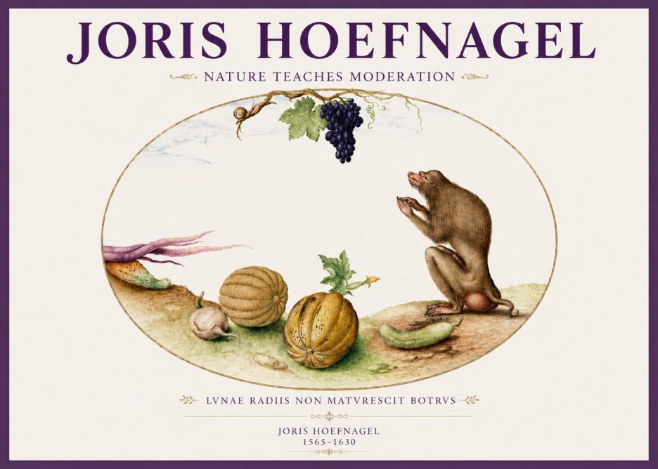 Joris Hoefnagel Nature Teaches Moderation No3 - Poster