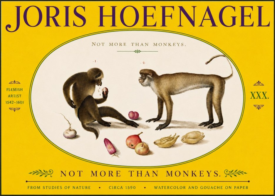 Joris Hoefnagel Not More Than Monkeys No5 - Poster