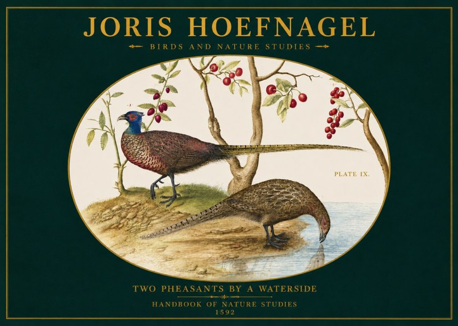 Joris Hoefnagel Peacocks and Pheasants Among Fruiting Branches No3 - Poster