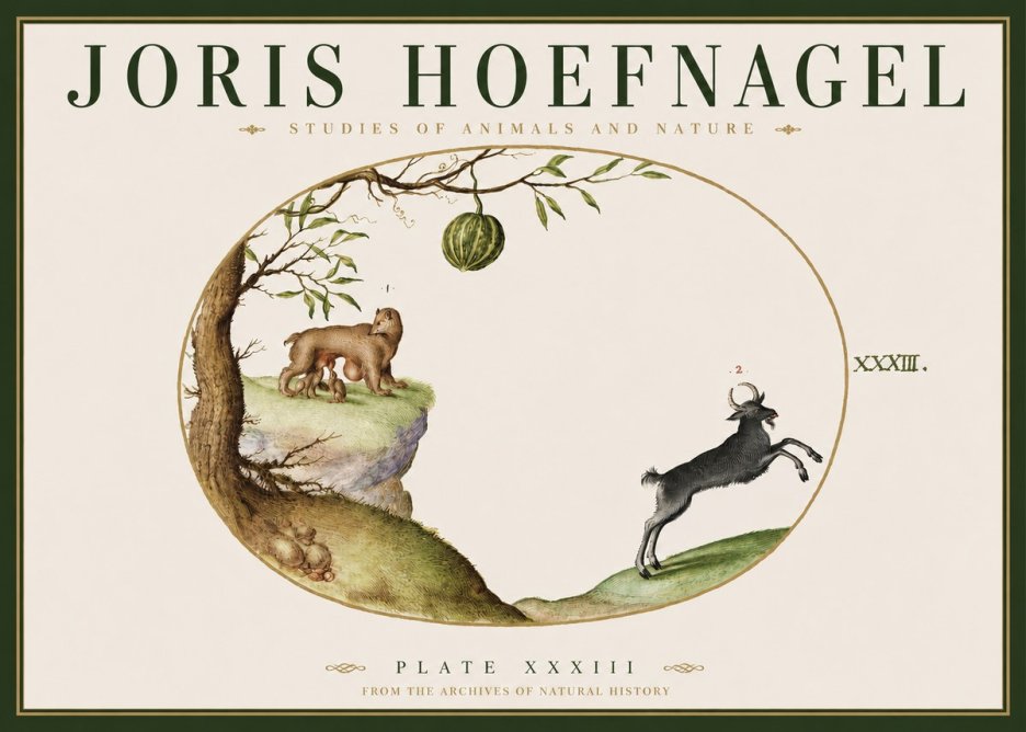 Joris Hoefnagel Plate Xxxiii No3 - Poster