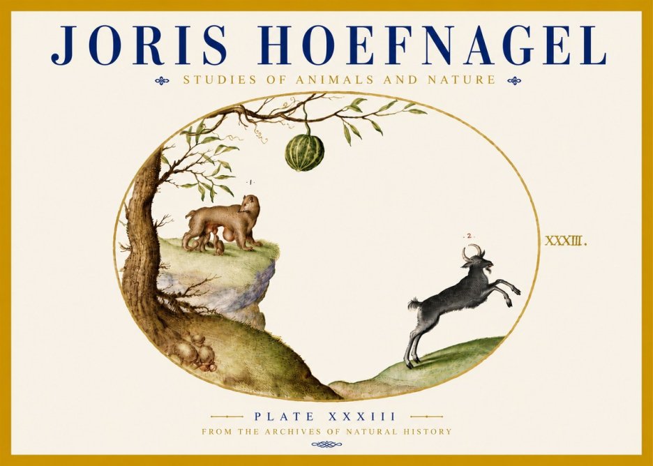 Joris Hoefnagel Plate Xxxiii No5 - Poster