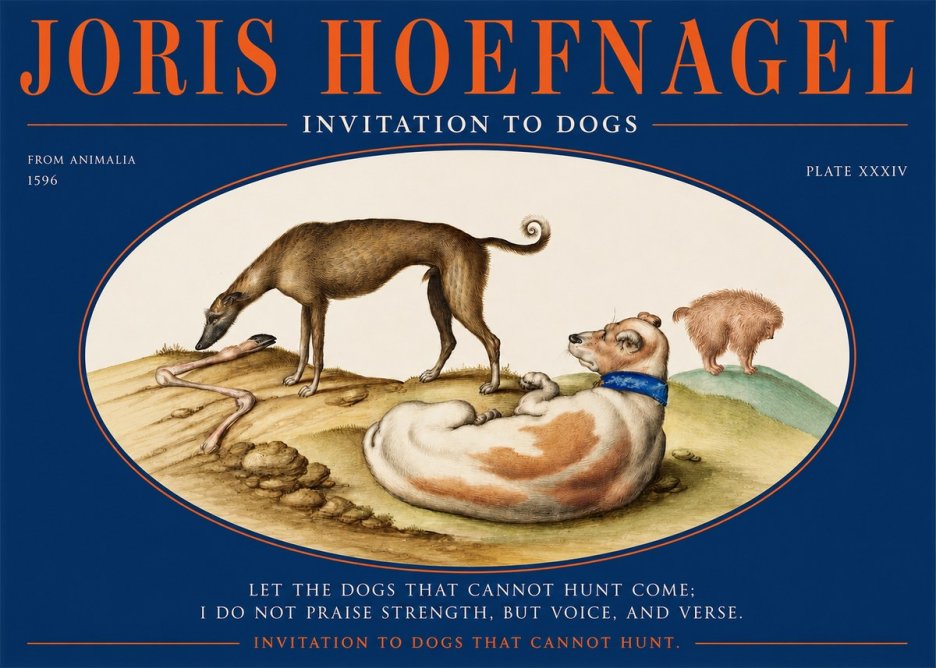 Joris Hoefnagel Invitation to Dogs No2 - Poster