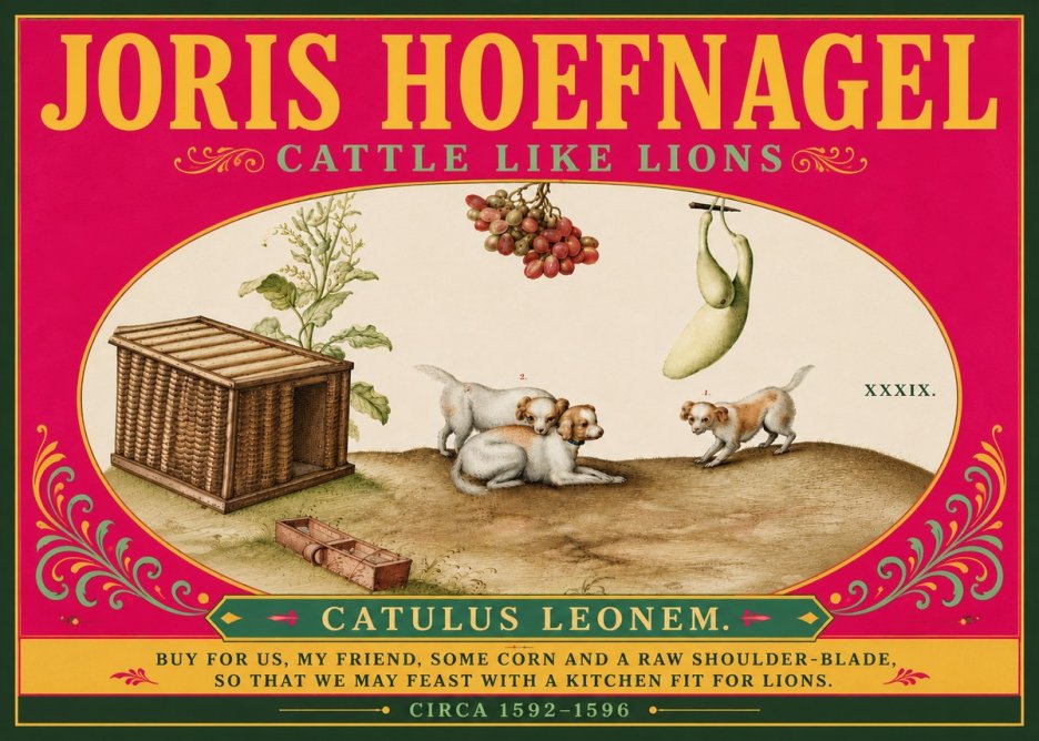 Joris Hoefnagel Cattle Like Lions No6 - Poster