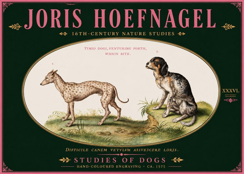 Joris Hoefnagel Studies of Dogs No6 - Poster