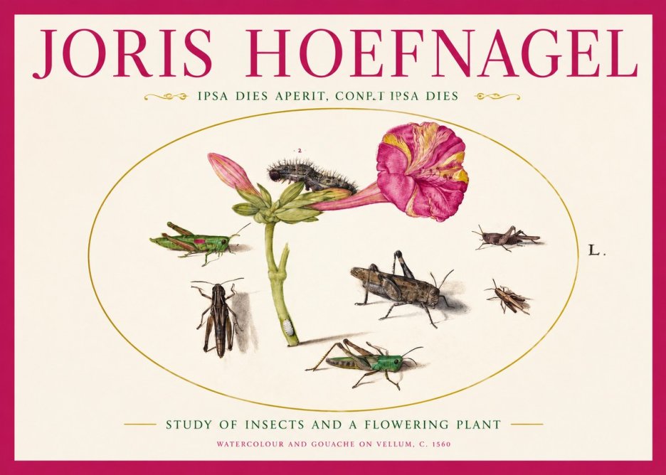 Joris Hoefnagel Study of Insects and a Flowering Plant No2 - Poster