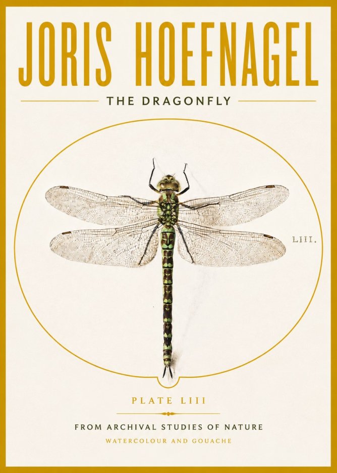 Joris Hoefnagel The Dragonfly No4 - Poster
