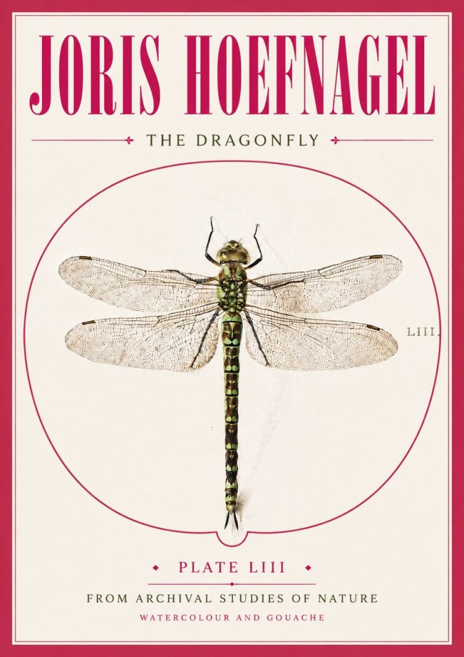 Joris Hoefnagel The Dragonfly No5 - Poster