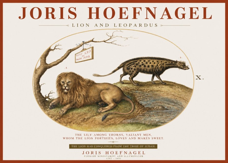 Joris Hoefnagel Lion and Spotted Hyena No4 - Poster