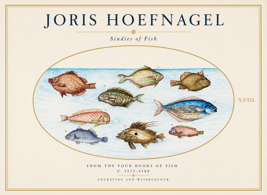 Joris Hoefnagel Studies of Fish I No1 - Poster