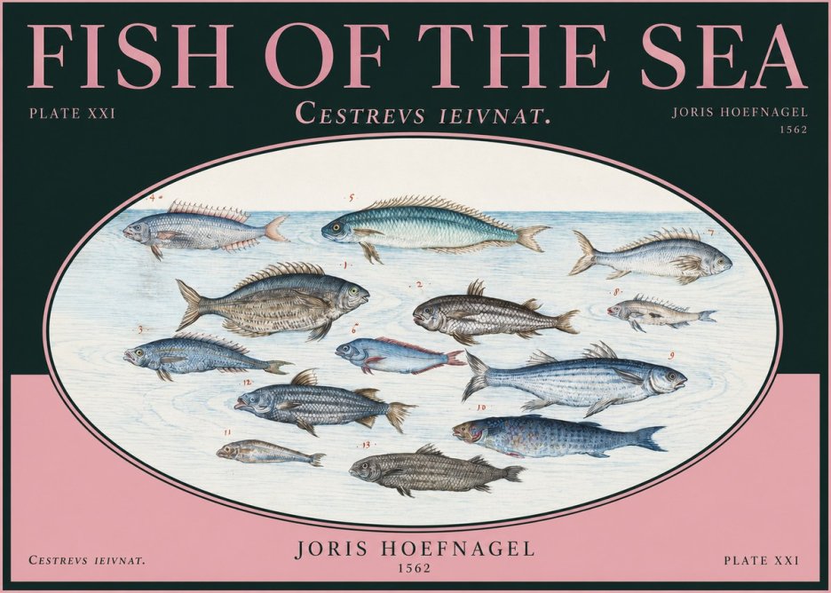 Joris Hoefnagel Fish of the Sea - Cestrevs Ieivnat. Plate Xxi No2 - Poster