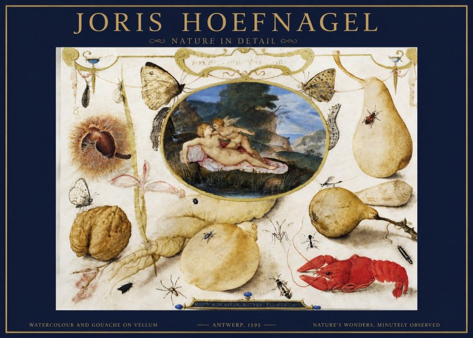 Joris Hoefnagel Nature in Detail No2 - Poster