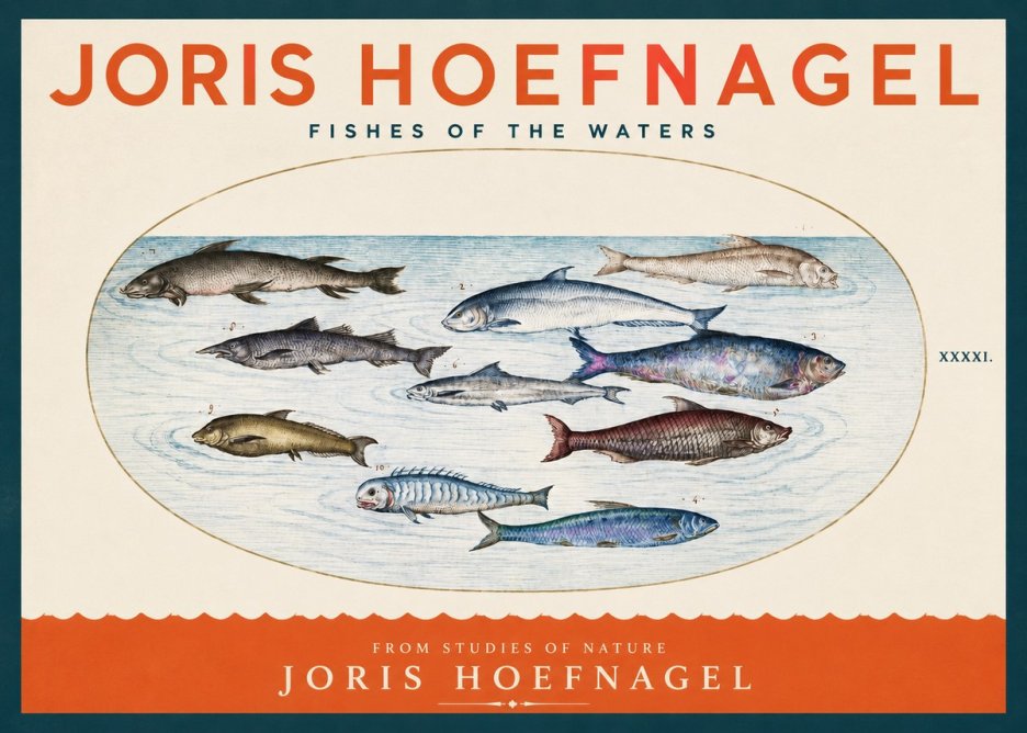 Joris Hoefnagel Fishes of the Waters II No2 - Poster