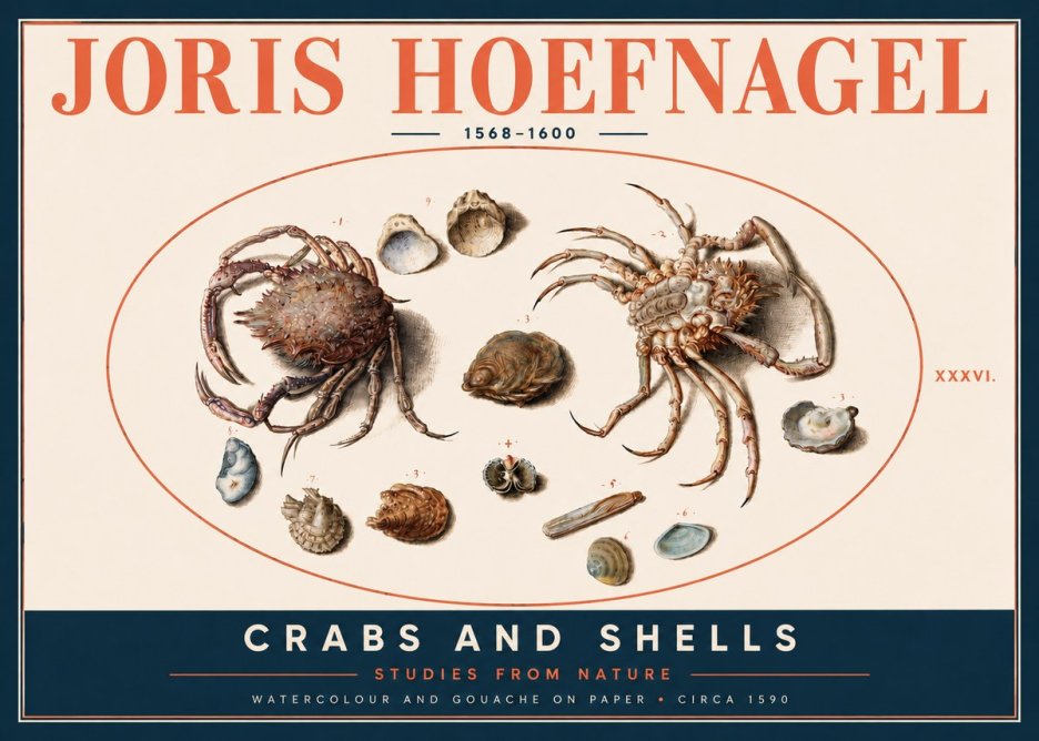 Joris Hoefnagel Crabs and Shells - Studies from Nature No4 - Poster