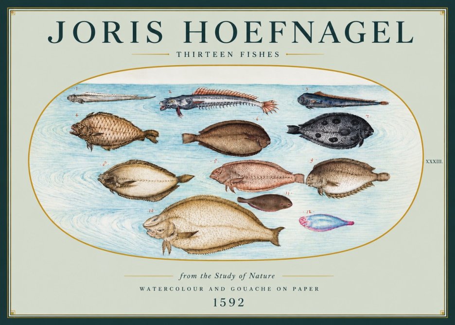 Joris Hoefnagel Thirteen Fishes from the Study of Nature No3 - Poster