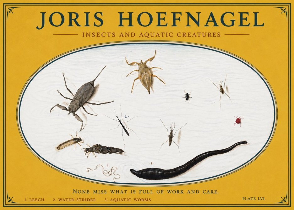 Joris Hoefnagel Insects and Aquatic Creatures No3 - Poster