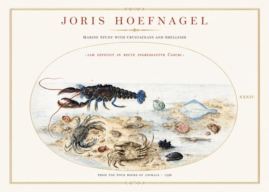 Joris Hoefnagel Marine Study with Crustaceans and Shellfish No1 - Poster