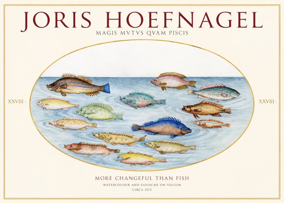Joris Hoefnagel Fish More Than Silent No2 - Poster
