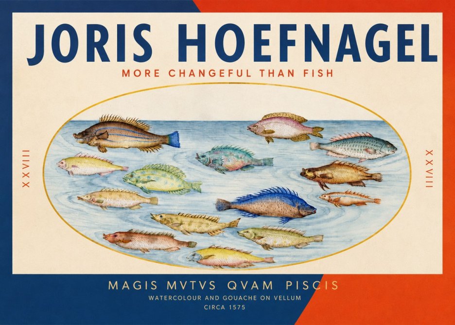 Joris Hoefnagel Fish More Than Silent No3 - Poster
