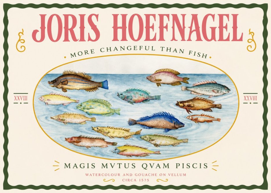 Joris Hoefnagel Fish More Than Silent No4 - Poster