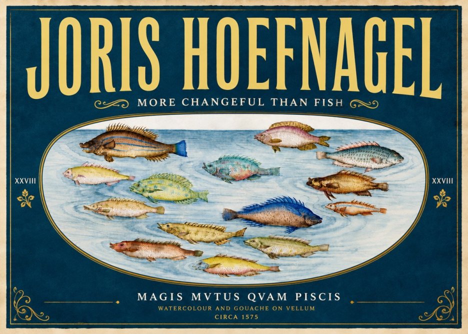 Joris Hoefnagel Fish More Than Silent No6 - Poster