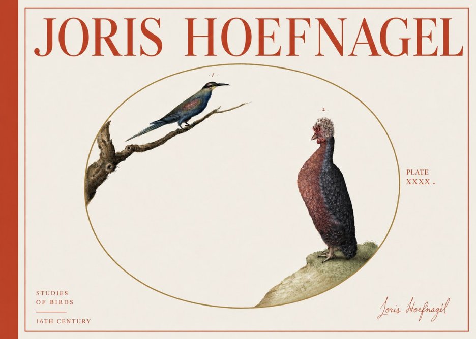 Joris Hoefnagel Studies of Birds I No4 - Poster