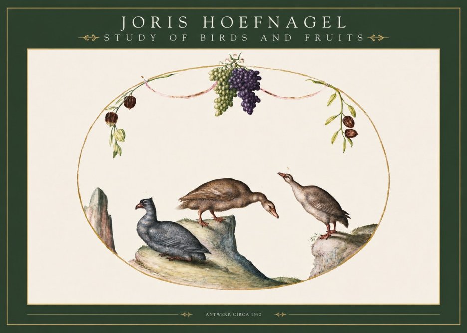 Joris Hoefnagel Three Birds with Grapes and Inscription No3 - Poster