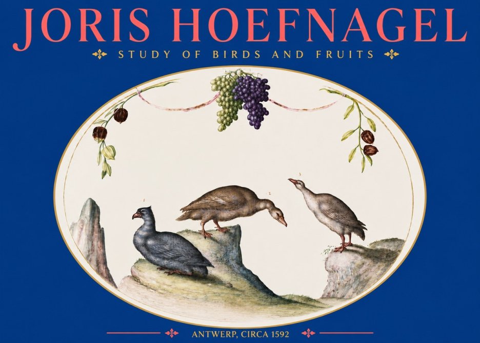 Joris Hoefnagel Three Birds with Grapes and Inscription No5 - Poster