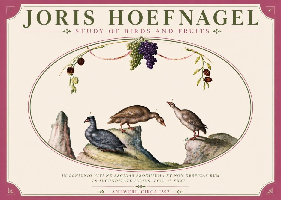Joris Hoefnagel Three Birds with Grapes and Inscription No6 - Poster
